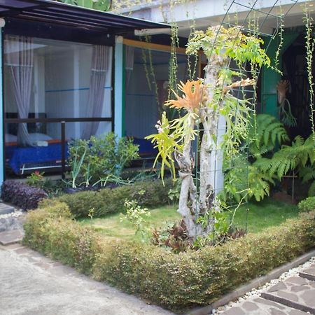 Bromo Ecolodge Dış mekan fotoğraf