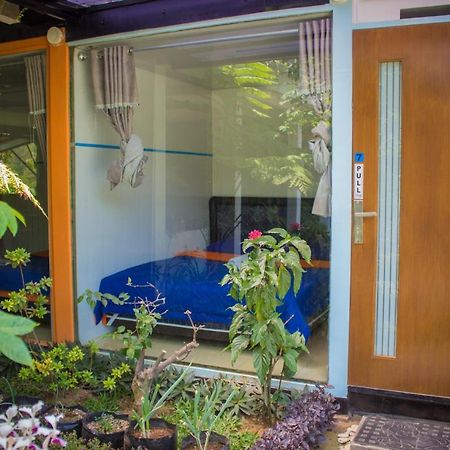 Bromo Ecolodge Dış mekan fotoğraf